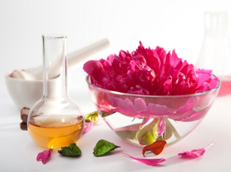 Terapia a base de flores para o equilíbrio emocional Terapia a base de flores para o equilíbrio emocional