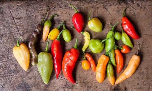 A pimenta e os seus poderes curativos A pimenta e os seus poderes curativos