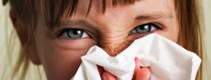 8 remédios contra alergias respiratórias