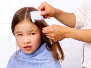 Dicas para evitar os piolhos com alecrim e lavanda Dicas para evitar os piolhos com alecrim e lavanda