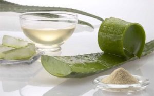 Benefícios do suco de Aloe Vera Benefícios do suco de Aloe Vera
