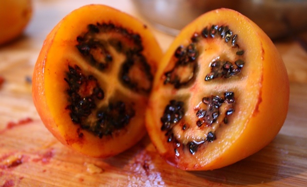 benefícios do tomate de árvore