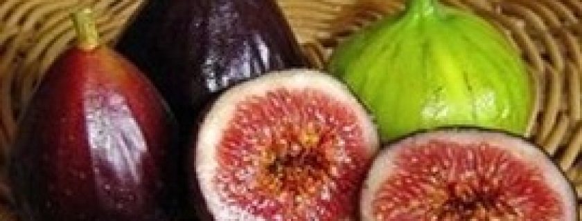 Figos: Bons expectorantes!