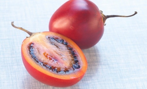 tomate 2