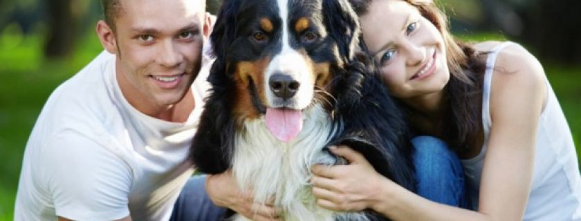 Pessoas com animais de estimação tem uma melhor vida física e mental