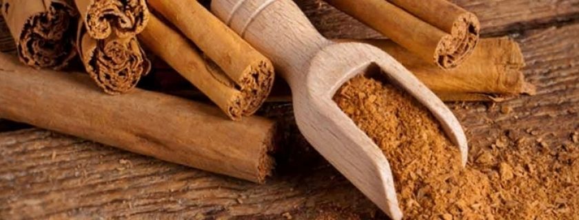Contra indicações da canela