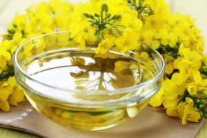 por que o azeite de canola é saudável
