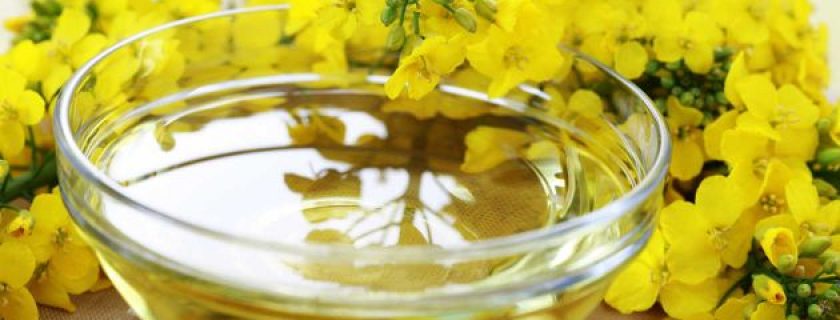 Por que o óleo de canola é saudável?