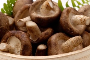 propriedades dos cogumelos Shiitake
