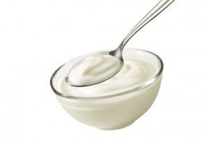 os melhores alimentos probióticos