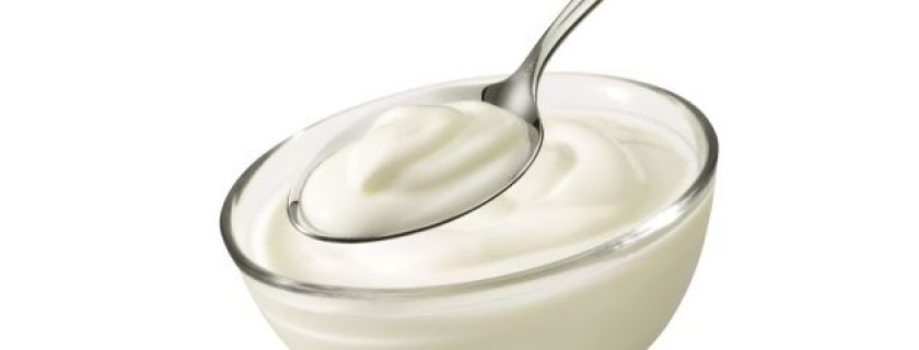 Os melhores alimentos probióticos