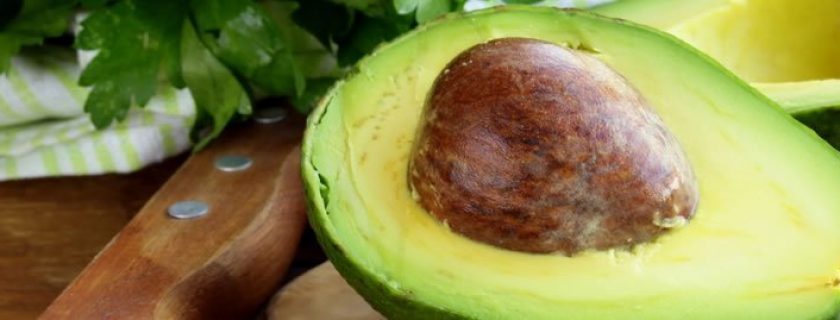 10 razões para incluir a semente de abacate na dieta