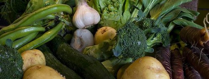 Tipos de vegetais para emagrecer