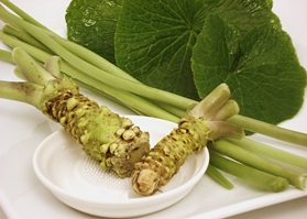 Benefícios do wasabi para a saúde