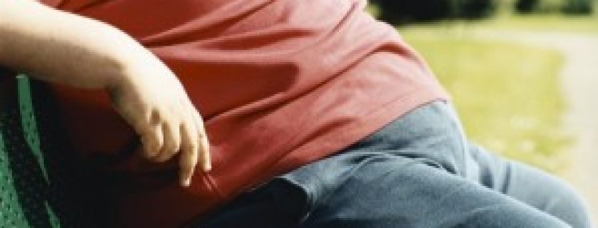 Componente natural pode ser novo tratamento para a obesidade