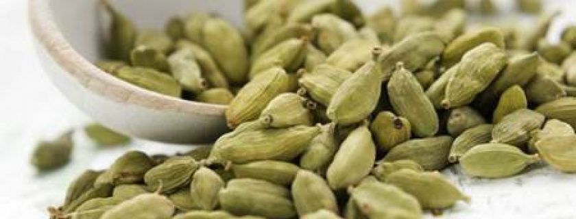 Cardamomo: uma erva aromática medicinal