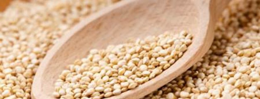 Quinoa para proteger o corpo