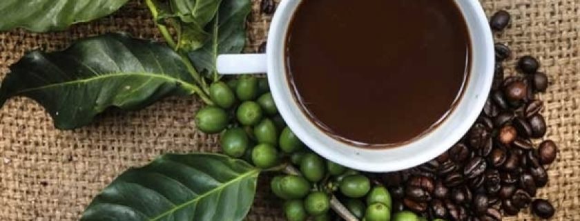 Emagreça com o café verde