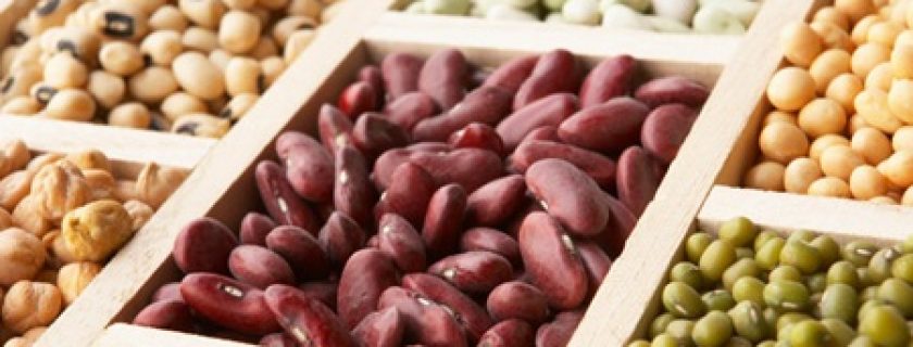 O teor de proteína de vários legumes
