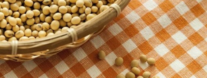Soja: Leguminosa com mais proteínas e menos carboidratos
