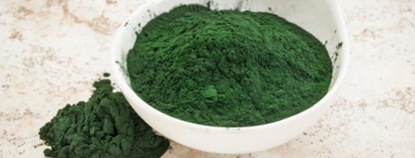 Spirulina seca: Uma fonte concentrada de proteína no mundo vegetal