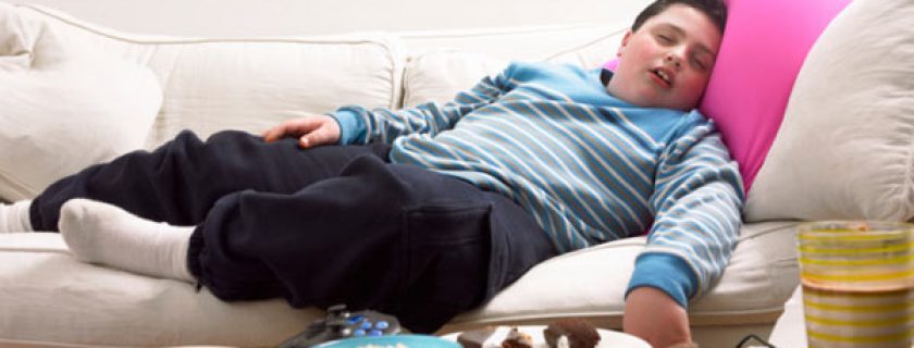 Causas da obesidade infantil