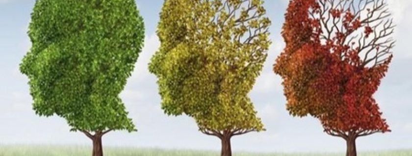 Dia Mundial da Doença de Alzheimer: A prevenção ao fazer exercícios
