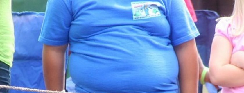 Períodos em que há um risco maior em desenvolver a obesidade infantil