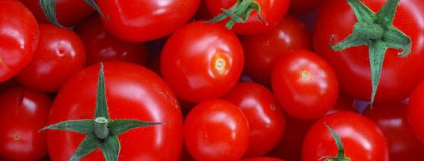 7 alimentos poderosos para prevenir o câncer