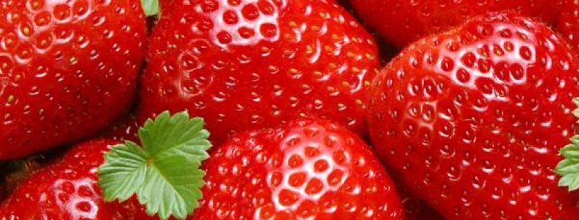 Saboroso e saudável: veja os benefícios do morango para os dentes