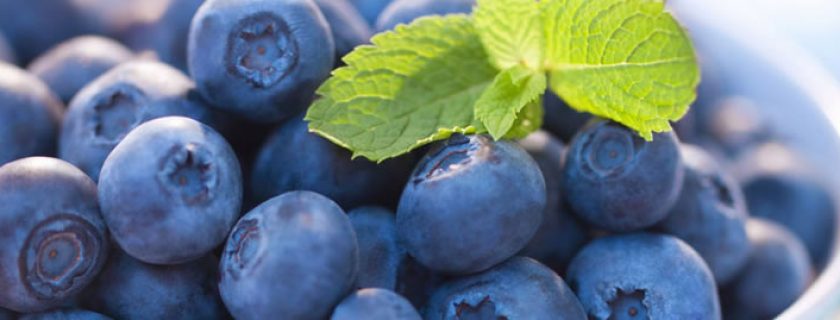 Super fruta: conheça os benefícios do mirtilo para a saúde