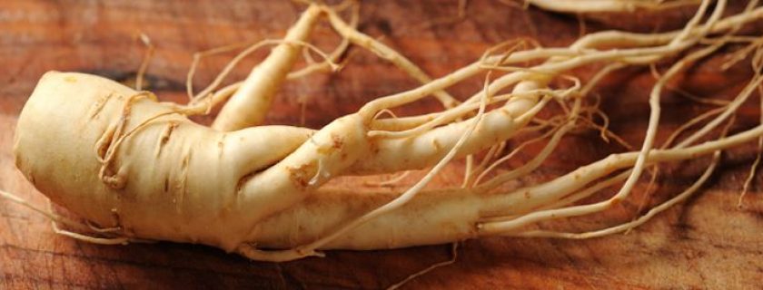Propriedades, benefícios e contra-indicações do ginseng