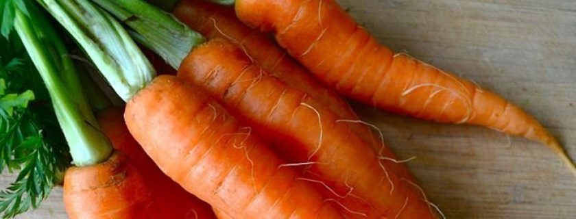 10 benefícios da cenoura para a beleza e saúde