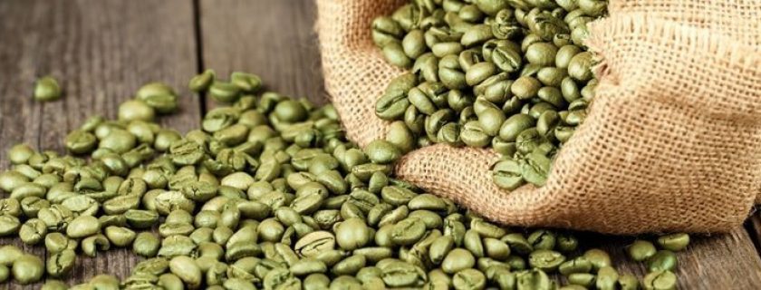 Benefícios e recomendações do consumo de café verde
