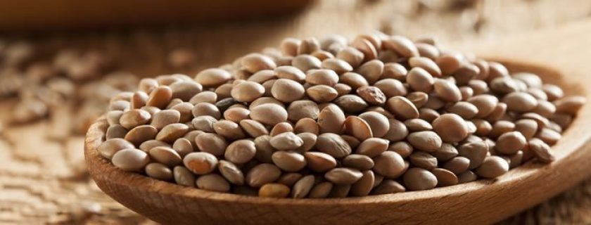 11 benefícios da lentilha para a saúde