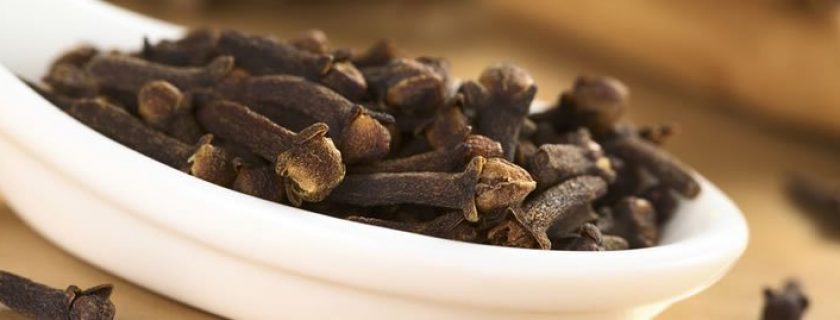 12 benefícios do cravo da índia para a nossa saúde