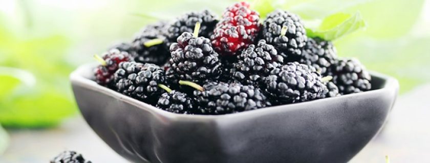 10 benefícios importantes das amoras para a saúde