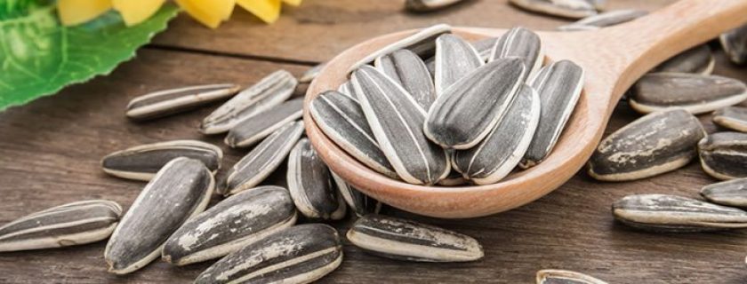 8 benefícios da semente de girassol à saúde