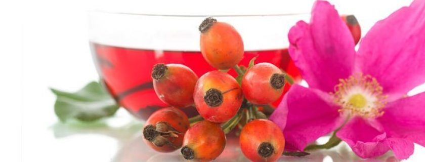 Propriedades e beneficios da rosa mosqueta