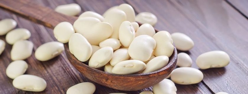 8 incríveis benefícios do feijão branco para a saúde