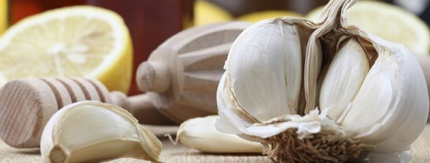 7 surpreendentes antissépticos naturais para curar feridas