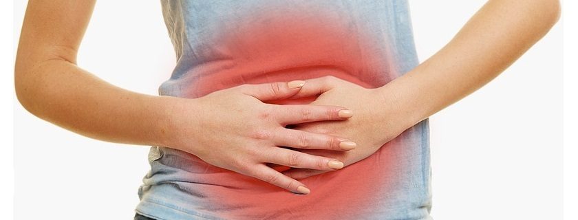 Saiba o que é giardíase e como se prevenir desse problema