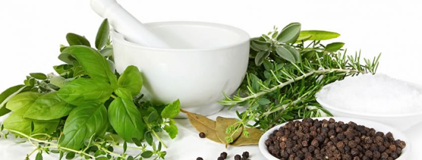 Usos e benefícios das ervas e plantas medicinais