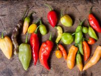 A pimenta e os seus poderes curativos