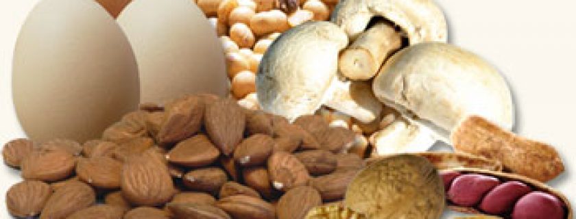 Os alimentos mais ricos em proteínas