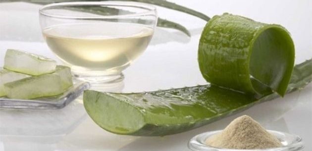 Benefícios do suco de Aloe Vera