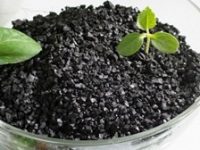 O ácido fúlvico e seus efeitos na saúde