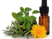 Conheça a terapia floral