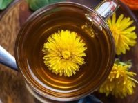 Propriedades do dente de leão