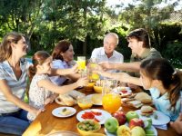 O que são flavonoides?